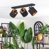 Alsen Plafonnier, Spot de plafond Noir, 3 lumières