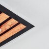 Meron Plafonnier LED Couleur bois, Noir, 1 lumière