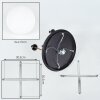 Gastor Plafonnier, Boule lumineuse Laiton, Noir, 5 lumières