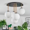 Gastor Plafonnier, Boule lumineuse Laiton, Noir, 5 lumières