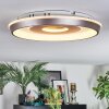 Dakon Plafonnier LED Champagne, Blanc, 1 lumière