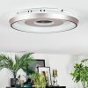 Dakon Plafonnier LED Champagne, Blanc, 1 lumière