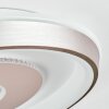 Dakon Plafonnier LED Champagne, Blanc, 1 lumière