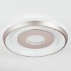 Dakon Plafonnier LED Champagne, Blanc, 1 lumière