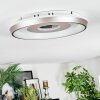 Dakon Plafonnier LED Champagne, Blanc, 1 lumière