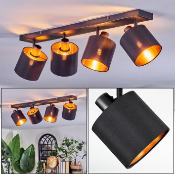 Alsen Plafonnier, Spot de plafond Noir, 4 lumières