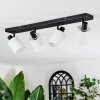 Fallhagen Plafonnier, Spot de plafond Noir, 4 lumières