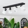 Fallhagen Plafonnier, Spot de plafond Noir, 4 lumières