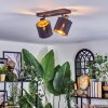 Alsen Plafonnier, Spot de plafond Noir, 2 lumières