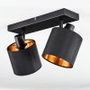 Alsen Plafonnier, Spot de plafond Noir, 2 lumières