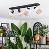 Fallhagen Plafonnier, Spot de plafond Noir, 4 lumières