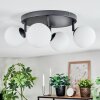 Chehalis Plafonnier, Boule lumineuse Blanc, 4 lumières