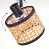 Ramila Plafonnier, Spot de plafond Noir, 3 lumières