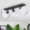 Bassagoda Plafonnier, Spot de plafond Noir, 3 lumières