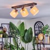 Bassagoda Plafonnier, Spot de plafond Noir, 3 lumières