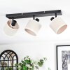 Bassagoda Plafonnier, Spot de plafond Noir, 3 lumières