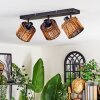 Cando Plafonnier, Spot de plafond Noir, 3 lumières