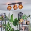 Cando Plafonnier, Spot de plafond Noir, 3 lumières
