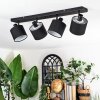 Bassagoda Plafonnier, Spot de plafond Noir, 4 lumières