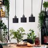 Bassagoda Suspension, Suspension Écru, Noir, 3 lumières