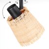 Lindberg Plafonnier, Spot de plafond Noir, 2 lumières