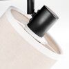 Bassagoda Plafonnier, Spot de plafond Noir, 2 lumières