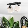 Bassagoda Plafonnier, Spot de plafond Noir, 2 lumières