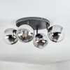 Chehalis Plafonnier, Boule lumineuse Chrome, Clair, Fumé, 4 lumières