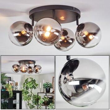 Chehalis Plafonnier, Boule lumineuse Chrome, Clair, Fumé, 4 lumières