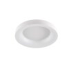Plafonnier WOFI CAMERON LED Blanc, 1 lumière, Télécommandes