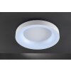 Plafonnier WOFI CAMERON LED Blanc, 1 lumière, Télécommandes