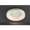Plafonnier WOFI CAMERON LED Blanc, 1 lumière, Télécommandes