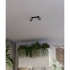 ROSLEY Plafonnier, Spot de plafond Luminaires Eglo Noir, 2 lumières