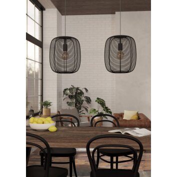RINROE Suspension Luminaires Eglo Noir, 2 lumières