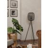 RINROE Lampadaire Luminaires Eglo Noir, 1 lumière