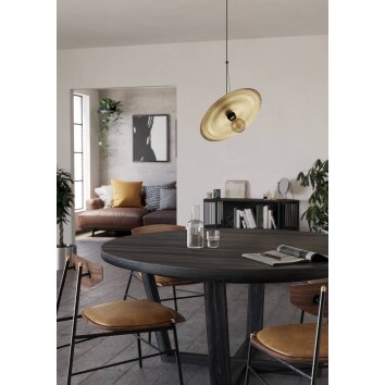 LINTMILL Suspension Luminaires Eglo Noir, 1 lumière