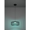 GINESTRONE-Z Suspension Luminaires Eglo LED Noir, 1 lumière, Changeur de couleurs