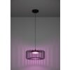 GINESTRONE-Z Suspension Luminaires Eglo LED Noir, 1 lumière, Changeur de couleurs