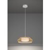 YUKU-Z Suspension Luminaires Eglo LED Blanc, 1 lumière, Changeur de couleurs