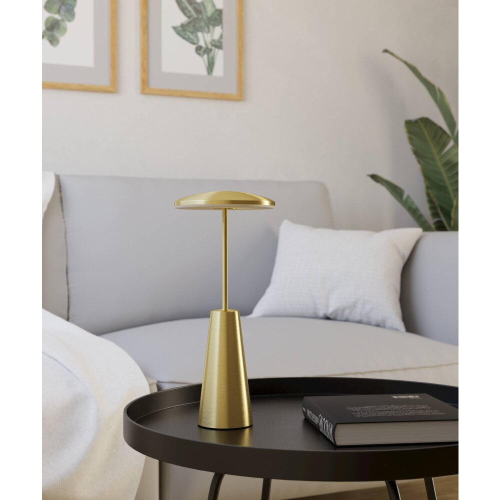 PICCOLA Lampe à poser Luminaires Eglo LED Laiton, 1 lumière main product photo