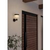 PANTETE Lampe solaire Luminaires Eglo LED Noir, 1 lumière, Détecteur de mouvement