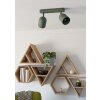 TILSTON Plafonnier, Spot de plafond Luminaires Eglo Vert, 2 lumières