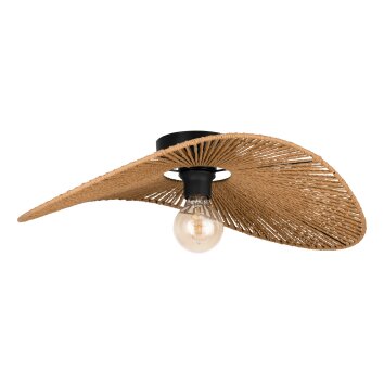 SIRUELA Plafonnier Luminaires Eglo Noir, 1 lumière
