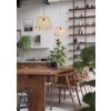 HYKEHAM Suspension Luminaires Eglo Noir, 1 lumière