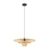 LYDNEY Suspension Luminaires Eglo Noir, 1 lumière