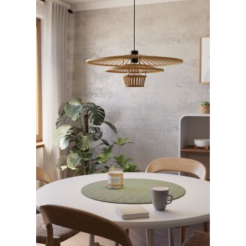 LYDNEY Suspension Luminaires Eglo Noir, 1 lumière