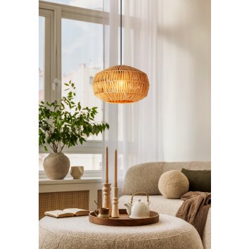 SHELDON Suspension Luminaires Eglo Noir, 1 lumière