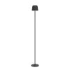 MANNERA-L Lampadaire Luminaires Eglo LED Noir, 1 lumière, Télécommandes, Changeur de couleurs
