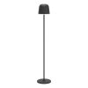 MANNERA-L Lampadaire Luminaires Eglo LED Noir, 1 lumière, Télécommandes, Changeur de couleurs