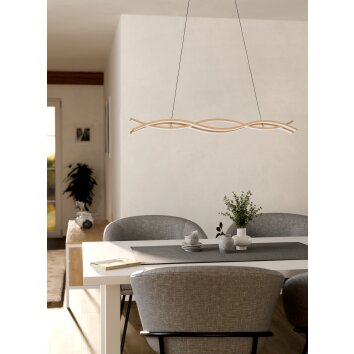 EGLO Suspension Luminaires Eglo LED Brun clair